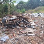 Descarte de animais mortos preocupa moradores em estrada próxima à Rodovia dos Tamoios