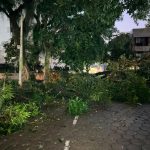 Praça Romão Gomes, queda de árvore, São José dos Campos, trânsito