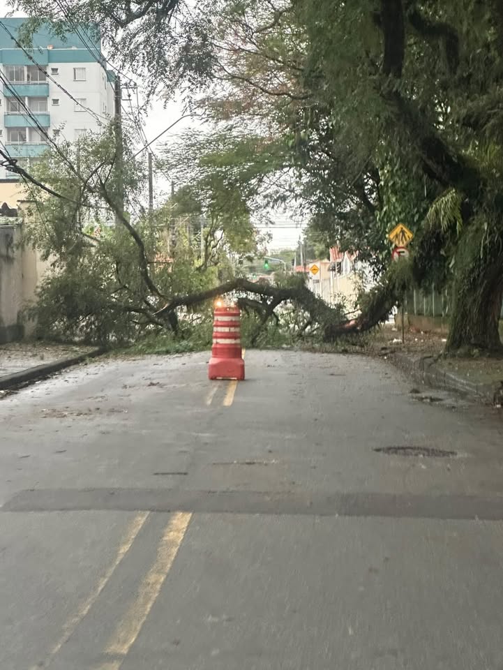 Tronco de árvore cai e bloqueia rua no Jardim Paraíso, na região sul de São José dos Campos