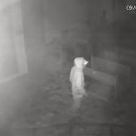 Furto em igreja de Lorena causa prejuízo de R$ 6,1 mil