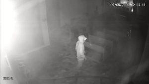 Furto em igreja de Lorena causa prejuízo de R$ 6,1 mil
