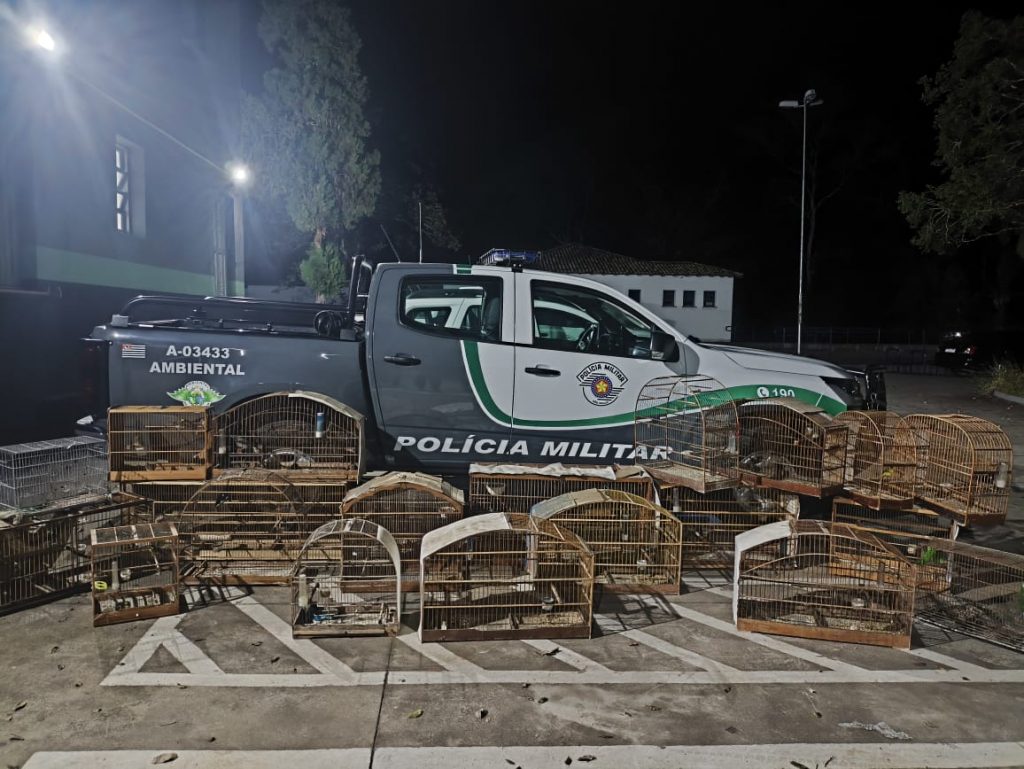 Polícia Ambiental resgata 29 aves silvestres mantidas ilegalmente em cativeiro e aplica R$ 30 mil em multas em Santa Branca