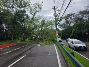 chuva em São José