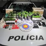 Traficante é presa com 55 mudas de maconha e mais de 650 gramas da droga na zona norte de São José dos Campos