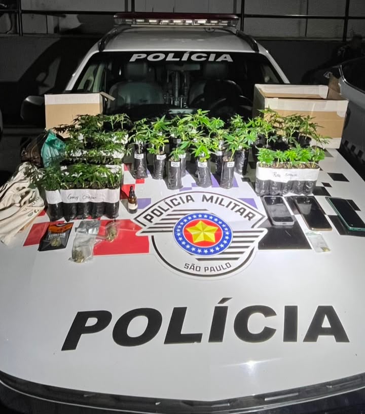 Traficante é presa com 55 mudas de maconha e mais de 650 gramas da droga na zona norte de São José dos Campos