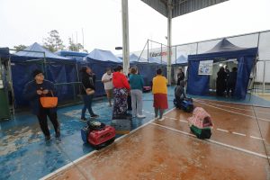 Prefeitura de Jacareí realiza novo mutirão de castração