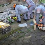 Muro desaba sobre idoso e deixa vítima em estado grave em Caraguatatuba