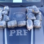 PRF apreende quase 21 kg de haxixe na Via Dutra
