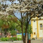 Joia da RM Vale do Paraíba encanta o mundo: São José do Barreiro disputa título de uma das Melhores Vilas Turísticas do Planeta