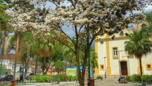 Joia da RM Vale do Paraíba encanta o mundo: São José do Barreiro disputa título de uma das Melhores Vilas Turísticas do Planeta
