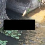 Corpo de homem é encontrado em córrego no Pousada do Vale, em São José dos Campos