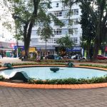 Praça do Sapo recebe revitalização no Centro de São José