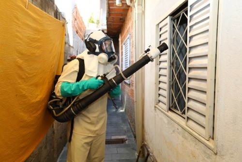 Agentes percorrem todas as regiões urbanas de São José dos Campos para medir a infestação do Aedes aegypti