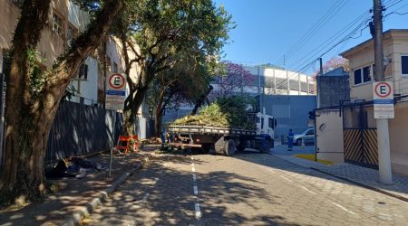 Prefeitura atende pedidos, e árvore no Jardim São Dimas é removida!