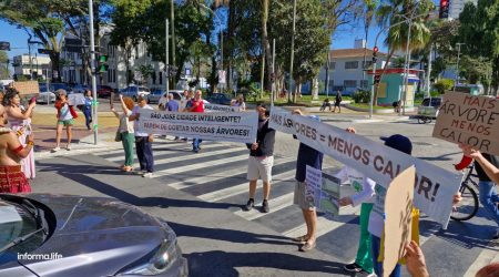 Ambientalistas cobram responsabilidade do poder público em políticas de arborização em São José