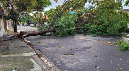 Apagão atinge bairros de São José após tempestade no domingo