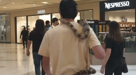 Após galinha, cobra chama atenção no maior shopping da RM Vale