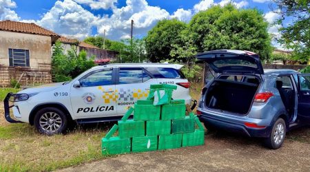 Apreensão de drogas no interior cresce 55% em outubro