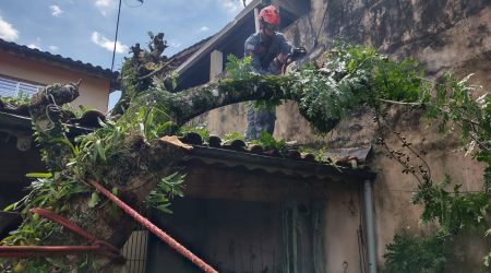 Árvore cai sobre casa em Caraguatatuba e Bombeiros agem rapidamente