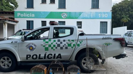 Aves nativas são resgatadas em operação da Polícia Ambiental em São José dos Campos