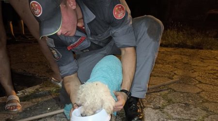 Bombeiros realizam resgate de cachorra idosa presa em tubulação de águas pluviais no bairro São Francisco, em São Sebastião.