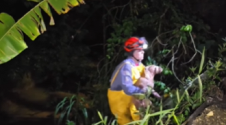 Bombeiros resgatam cachorro amarrado às margens de córrego