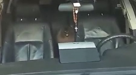 Cachorro é deixado em carro no Aquarius e levanta debate sobre cuidados com animais em veículos