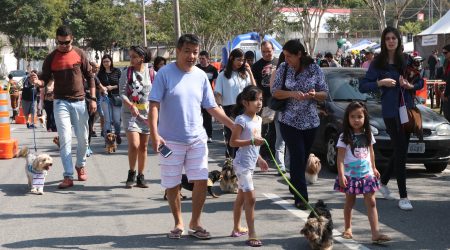 Cãominhada é atração gratuita no domingo em Jacareí