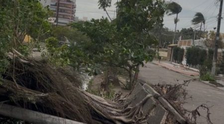 Caraguatatuba mobiliza grande mutirão de recuperação após ventos de 85 km/h