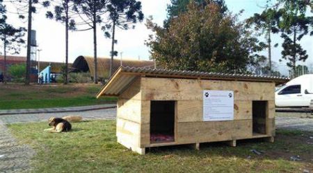 Casinha comunitária para pet