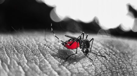 Dengue e outras viroses sobrecarregam o sistema de saúde de São José dos Campos