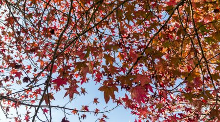 Outono começa no Vale do Paraíba com menos chuva, nevoeiro e alerta para uso da água
