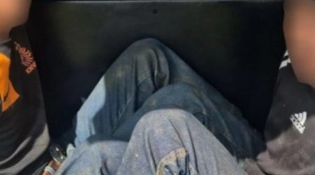 Dupla é presa por furtar 55 cabeças de gado avaliadas em R$ 250 mil em São José dos Campos