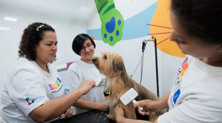 Curso gratuito de banho e tosa para pets será realizado em carreta adaptada em Jacareí.