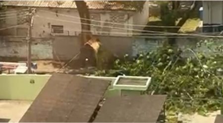 Galho cede após rajadas de vento e interdita rua movimentada no Parque Industrial