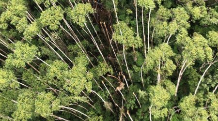 Helicóptero desaparecido é encontrado pela Polícia Militar