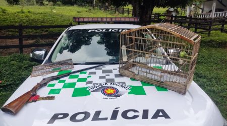 Homem é preso com arma, munições e ave silvestre em cativeiro