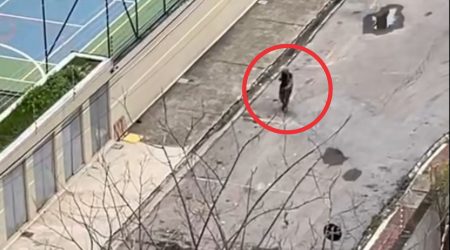 Homem gritando ameaças assusta moradores no Jardim Aquarius, em São José dos Campos