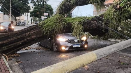 Imagem do WhatsApp de 2023-10-12 à(s) 15.57.32_28e0410b