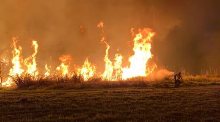 Incêndio de grandes proporções atinge área do Inpe em Cachoeira Paulista