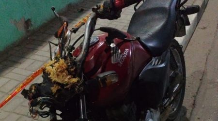 Motociclista e garupa morrem após colisão contra árvore