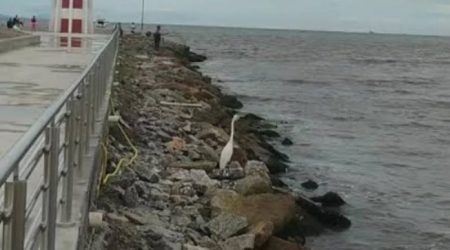 Novo e imponente ponto turístico, Molhe do Rio Juqueriquerê é interditado por risco estrutural!