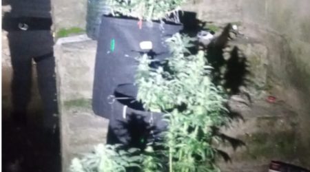 Mulher denuncia, e homem de 32 anos é preso por agressão e tráfico no Jardim da Granja!