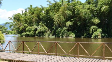 Parque Juqueriquerê é excelente opção de passeio gratuito em Caraguatatuba