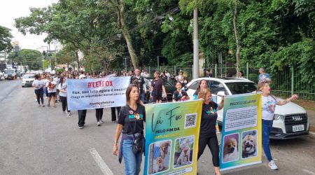 “Passeata pela Lei Fox” reúne centenas de defensores da causa animal em São José