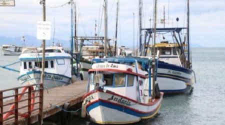 Pesca de camarão é retomada após defeso de três meses