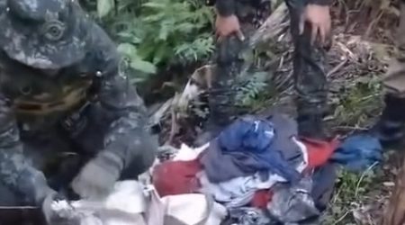 Polícia Ambiental desativa ponto de caça ilegal no Parque da Serra do Mar e resgata dois cachorros