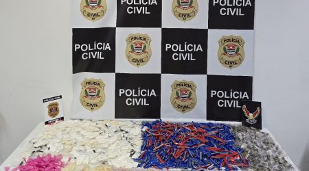 Polícia Civil apreende drogas na comunidade Santa Cruz