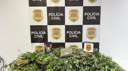 Polícia Civil encontra plantação indoor e prende suspeito