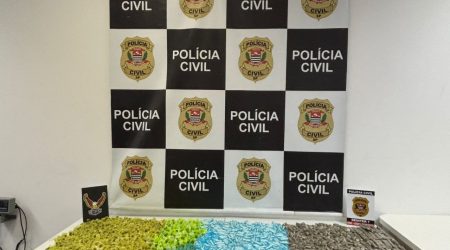 Polícia Civil prende homem por tráfico no Campos dos Alemães